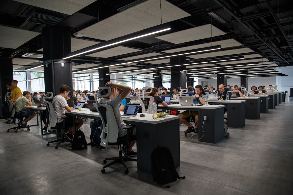 IT consulting professionals at work